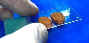 의심되는 림프종의 초기 평가는 유리 슬라이드를 절제된 림프 조직에 가볍게 누른 후 염색(일반적으로 H&E 염색)하여 광학 현미경으로 관찰하는 "터치 프렙(touch prep)" 과정이다.