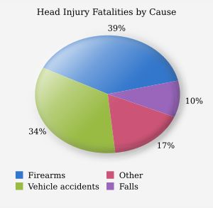 미국에서의 외상성 뇌손상 사망 원인