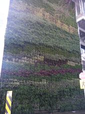 YVR의 그린 월 근접 사진