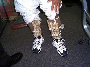 미국 국경에서 미국 세관 및 국경 보호국(U.S. Customs and Border Protection)에 체포된 희귀 조류 밀매업자