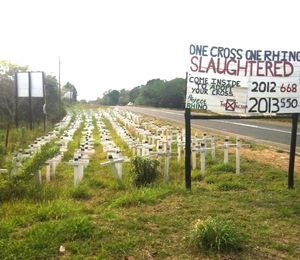 남아프리카 공화국 성 루시아 석호 근처 밀렵꾼들에게 죽임을 당한 코뿔소들을 위한 추모비