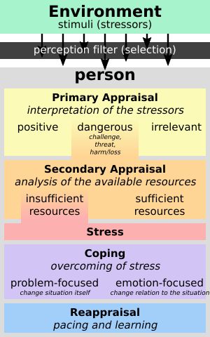 리처드 라자러스의 스트레스 및 대처 거래 모델