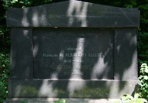 하이델베르크의 코셀 묘