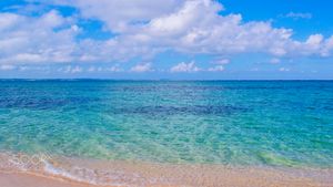 베라크루스 산호초 시스템 국립공원의 엔메디오 섬(Isla de Enmedio)