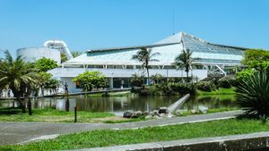 베라크루스 대학교