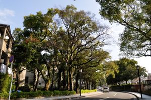 가고시마 시에 있는 생가 부근