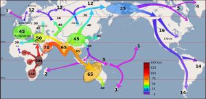 상부 구석기 시대 동안 초기 인류 이동에 따른 세계 인구 분포 개요 (남방 확산 패러다임에 따름)
