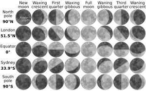 지구상의 서로 다른 위도에서 관측되는 달의 방향 (각 위도에서 위상 간에 표시되는 서로 다른 방향은 단순히 칭동으로 인한 방향의 극단을 보여줌)