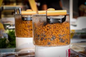 가나식 졸로프 라이스