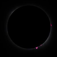 뉴햄프셔주에서 촬영된 개기일식 사진. 달에 가려진 태양의 외곽에서 프로미넌스(홍염)가 보인다.