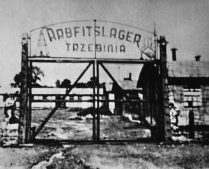 밤과 안개 (1955년)