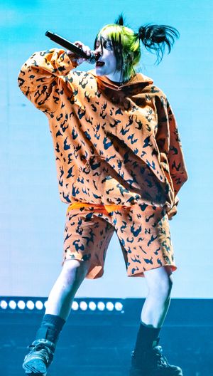 2019년 11월 코로나 캐피탈에서 공연하는 아일리시