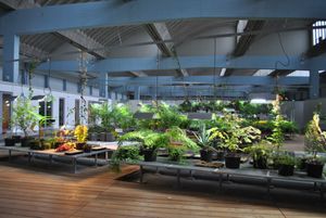 W. 마이클 블루멘탈 아카데미의 디아스포라 정원