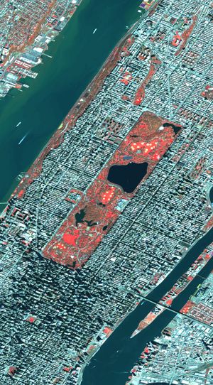 뉴욕시 센트럴파크의 플레이아데스 이미지