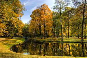 바르샤바 라진키 공원의 가을