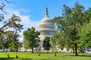 프레더릭 로 옴스테드가 심은 가장 오래된 나무들 중 일부, 2020년 미국 국회 의사당 단지