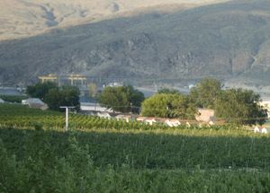 애즈웰에 있는 사과 농원