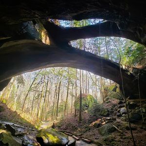 윈스턴군의 내추럴 브리지 암석은 로키 산맥 동쪽에서 가장 긴 자연교이다.