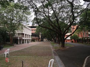 2022년 아테네오 캠퍼스