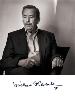 하벨은 대통령직 이후 유럽 문제에 집중했다.