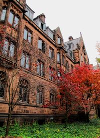 빙햄 홀 (Bingham Hall)