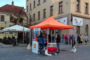 2018년 선거 운동