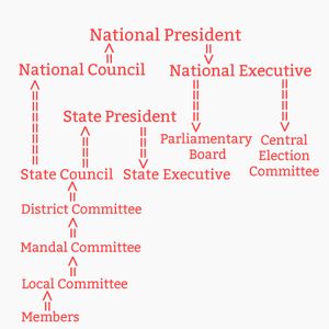 인도국민당(Bharatiya Janata Party)의 조직 구조