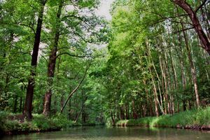 유네스코(UNESCO)가 지정한 생물권 보전 지역인 슈프레발트