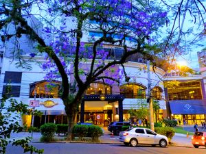 모이뉴스 드 벤투 지역은 많은 카페, 바, 고급 상점, 나이트클럽이 있어 활기찬 사교 생활로 유명하다