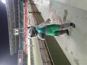 FC 아흐마트 그로즈니의 마스코트