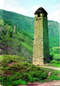 찬타 마을 근처의 체첸 군사 탑