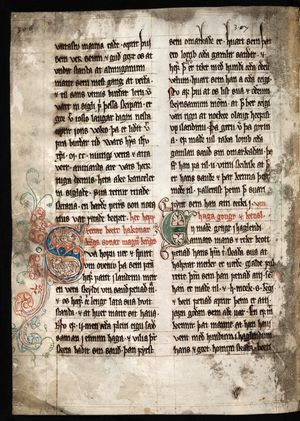 세이다브레비드는 고대 노르드어로 작성되어 수세기 동안 유효했던 페로 제도의 가장 오래된 문서이다.