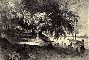 셰우첸코가 1844년에 제작한 앨범 「그림 같은 우크라이나」에 포함된 에칭 작품 중 하나인 "키이우에서".