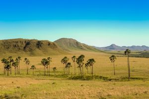 샤파다두스베아데이루스 국립공원