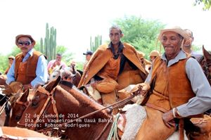  우아우아시의 바케이루스, 바이아 주.