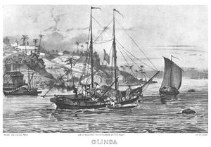 브라질의 네덜란드 침략