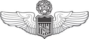 공군 지휘 조종사 우주비행사 휘장