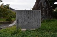 부유감(富有柿) 발상비