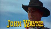 존 웨인(John Wayne)