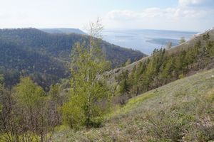 지굴리 자연보호구역. 사마라주