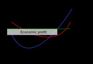 완전 경쟁 시장에서 기업은 단기적으로만 경제적 이윤을 얻을 수 있다.