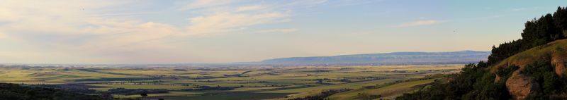 타볼리에레 델레 푸글리에