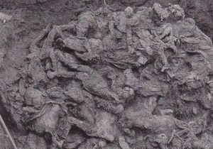 보스니아 전쟁 당시 민족 정화의 일환으로 세르비아군이 자행한 스레브레니차 학살의 희생자 유해 발굴 현장