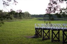 파라나강 근처 레시스텐시아 인근의 습지대 부두