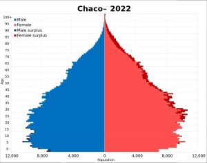 차코 인구 피라미드 2022