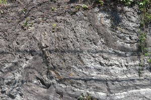 가나가와현 미우라시의 「카이토초의 슬럼프 구조」