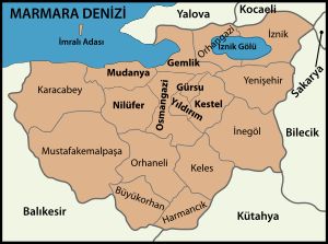 부르사 주의 행정 구역