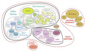 아르마니아어, 메글레노루마니아어, 이스트로루마니아어와 함께 로망스어의 동로망스어 하위 분류에 속하는 루마니아어.