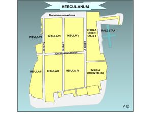 섬세한 발굴 지역의 인술라 번호