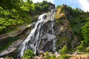 파워스코트 폭포(Powerscourt Waterfall), 아일랜드에서 두 번째로 높은 폭포